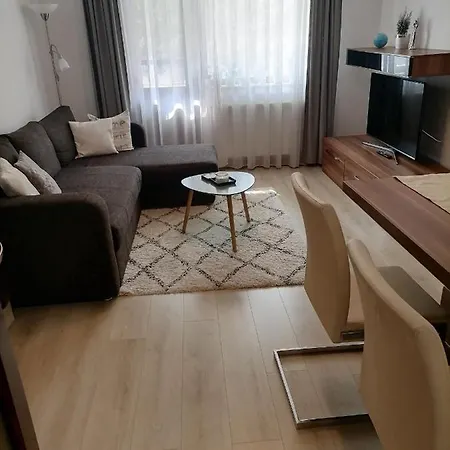 Joy Apartman * Sovata