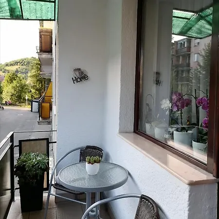 Joy Apartman * Sovata